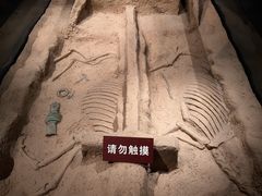 -宝鸡周原博物院