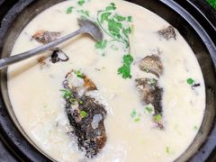 天目湖鱼头豆腐煲-梁溪河畔·吉府花园(南长街南下塘店)