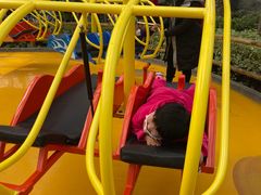 -南宫五洲植物乐园