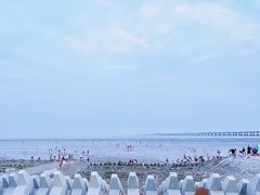 -南汇新城海滩