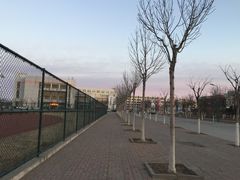 -南开大学滨海学院