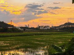 -长洲岛