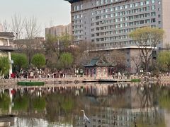 -文瀛公园