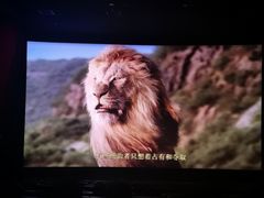 -新影联·华谊兄弟影院(望京店)