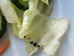 -意大利农场度假村