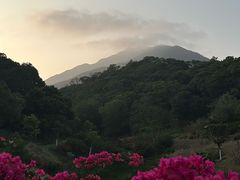 -山水肠粉(盐田店)