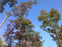 -滨湖塘西河公园