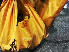 -龙城大药房