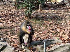 -常州淹城野生动物世界