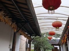 -李东农庄(中南百草园地标店)