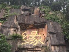 -三水森林公园