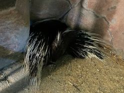 -酷嗒动物文化乐园(cutezoo西溪乐天城店)