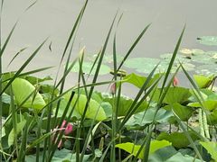 -颐润堂专业养生(五道口华清商务会馆店)