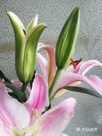 满满的花香扑鼻而来，感觉就像进入花园般