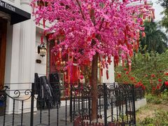 -秘密旅行Bonjour(黑金冠 江南西店)