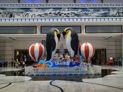 -帝企鹅自助餐厅•儿童岛•真企鹅(长隆企鹅酒店)