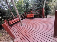 -上海佘山国家森林公园天马山园