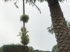 -东芭乐园