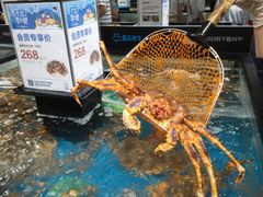 -盒马鲜生(曜一城店)
