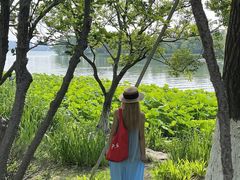 -金鸡湖桃花岛