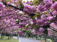 -苏州河梦清园环保主题公园