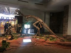 -自贡恐龙博物馆