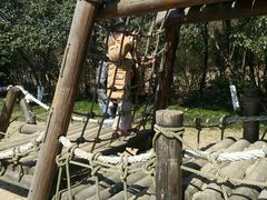 -白马涧龙池景区