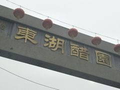 -东湖醋园