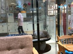 -藏猫猫咖啡主题馆(中央大道店)