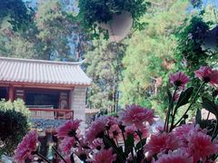 -寂照庵
