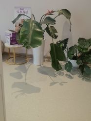 -Dr.林醫生产后修复·配方产康店(南京大厂店)
