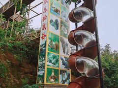 -欢乐松鼠谷