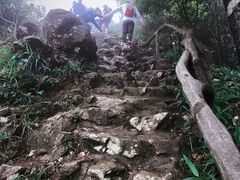 -梧桐山风景名胜区