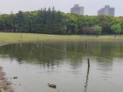-黄兴公园
