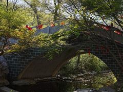 -大伊山景区