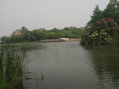 -新江湾城公园