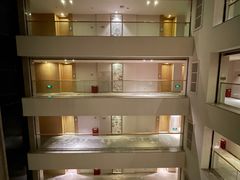 -河源万绿湖美思威尔顿酒店