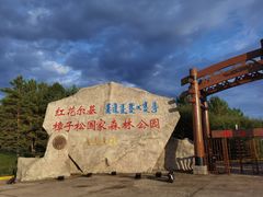 -红花尔基樟子松国家森林公园