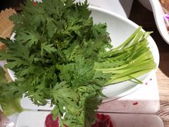 -牛很鲜潮汕牛肉火锅(朝晖路店)