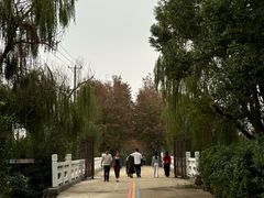-阳澄湖半岛旅游度假区