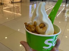 -Salud撒露欧洲冻酸奶(蓝色港湾店)