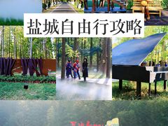 -荷兰花海
