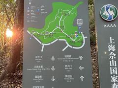 -上海佘山国家森林公园天马山园