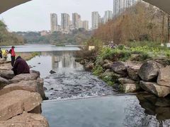 -重庆彩云湖湿地公园