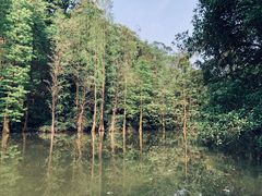 -云溪植物园