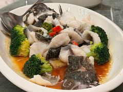 鲜花椒蒸桂花鱼-顺意·顺德家乡菜(中心商务大厦店)