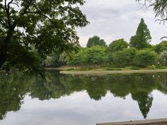 -上海共青森林公园