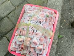 -菜园坝水果市场