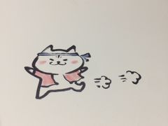 -小条食堂(筼筜天虹店)