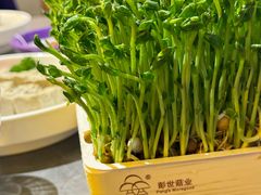 -重庆高老九火锅(吴中永旺店)